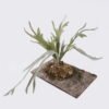 Artificial Plant Platycerium wallichii potted on the board GS-84726002_6 Artificial Plant 27*44*30cm Platycerium wallichii potted on the board GS-84726002 2026SEP 3,000+ sqm showroom with thousands of artificial flowers, plants & trees ready for global sourcing.