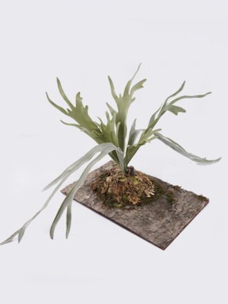 Artificial Plant 38*25*27cm Platycerium wallichii potted on the board GS-84726001 2026SEP 3,000+ sqm showroom with thousands of artificial flowers, plants & trees ready for global sourcing.