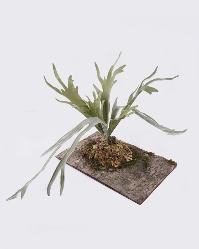 Artificial Plant 27*44*30cm Platycerium wallichii potted on the board GS-84726002 2026SEP 3,000+ sqm showroom with thousands of artificial flowers, plants & trees ready for global sourcing.