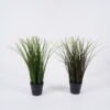 Artificial Plant Rice in PP pot 13 lvs GS-59126007_1 Artificial Plant 16*11*41cm Rice in PP pot/13 lvs GS-59126007 2026Aug 3,000+ sqm showroom with thousands of artificial flowers, plants & trees ready for global sourcing.
