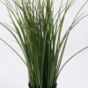 Artificial Plant Rice in PP pot 13 lvs GS-59126007_2 Artificial Plant 16*11*41cm Rice in PP pot/13 lvs GS-59126007 2026Aug 3,000+ sqm showroom with thousands of artificial flowers, plants & trees ready for global sourcing.
