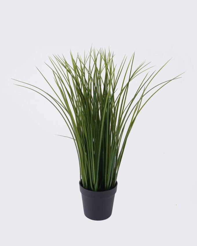 Artificial Plant Rice in PP pot 13 lvs GS-59126007_3 Artificial Plant 16*11*41cm Rice in PP pot/13 lvs GS-59126007 2026Aug 3,000+ sqm showroom with thousands of artificial flowers, plants & trees ready for global sourcing.