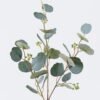 Artificial Plant 20*13*69cm Round-leaf eucalyptus with Fruits single stem GS-43126001 2026Jul 3,000+ sqm showroom with thousands of artificial flowers, plants & trees ready for global sourcing.