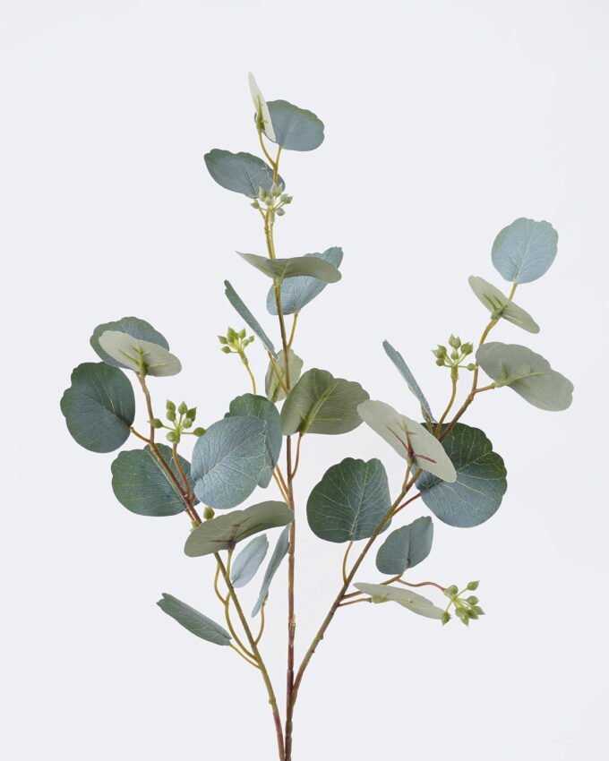 Artificial Plant 20*13*69cm Round-leaf eucalyptus with Fruits single stem GS-43126001 2026Jul 3,000+ sqm showroom with thousands of artificial flowers, plants & trees ready for global sourcing.