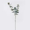 Artificial Plant Short branch Golden Yuanbao single stem GS-43126007_2 Artificial Plant 18*10*78cm Short branch Golden Yuanbao single stem GS-43126007 2026Jul 3,000+ sqm showroom with thousands of artificial flowers, plants & trees ready for global sourcing.
