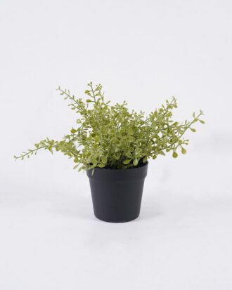 Artificial Plant 17*13*20cm Soybean Leaf *26 in PP pot GS-59126003 2026Aug 3,000+ sqm showroom with thousands of artificial flowers, plants & trees ready for global sourcing.