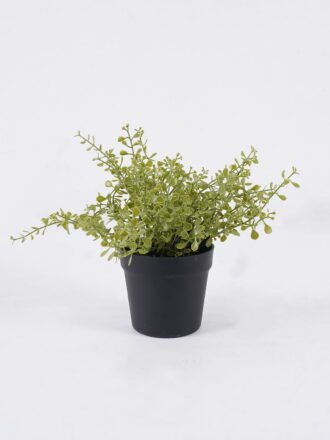 Artificial Plant 30*20*48cm Ripple Leaf in PP pot/33 lvs GS-59126002-G2 2026Aug 3,000+ sqm showroom with thousands of artificial flowers, plants & trees ready for global sourcing.