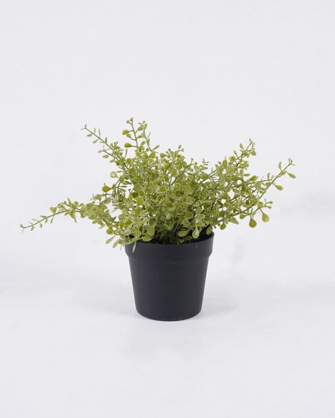 Artificial Plant 17*13*20cm Soybean Leaf *26 in PP pot GS-59126003 2026Aug 3,000+ sqm showroom with thousands of artificial flowers, plants & trees ready for global sourcing.