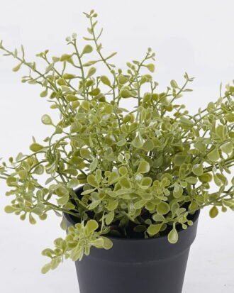 Artificial Plant 17*13*20cm Soybean Leaf *26 in PP pot GS-59126003 2026Aug 3,000+ sqm showroom with thousands of artificial flowers, plants & trees ready for global sourcing.