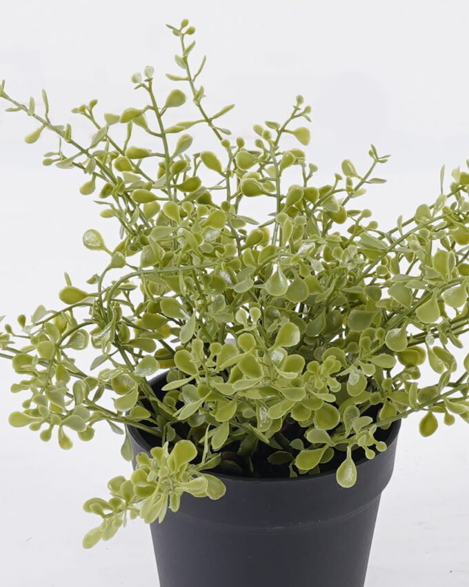 Artificial Plant 17*13*20cm Soybean Leaf *26 in PP pot GS-59126003 2026Aug 3,000+ sqm showroom with thousands of artificial flowers, plants & trees ready for global sourcing.
