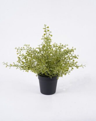 Artificial Plant 20*20*29cm Soybean Leaf *49 in PP pot GS-59126004 2026Aug 3,000+ sqm showroom with thousands of artificial flowers, plants & trees ready for global sourcing.