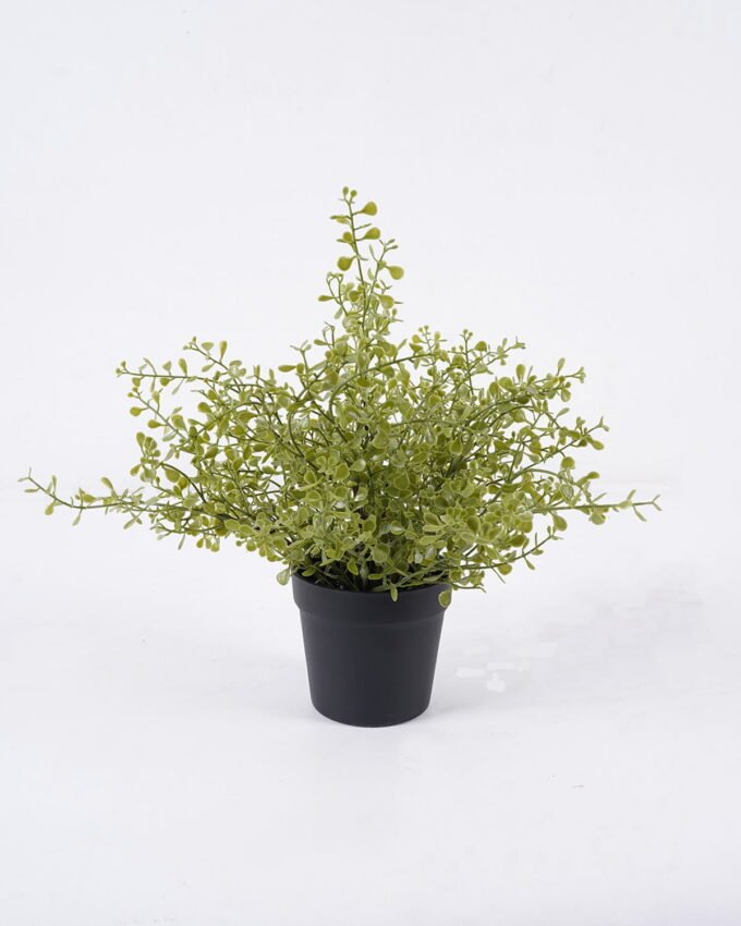 Artificial Plant 20*20*29cm Soybean Leaf *49 in PP pot GS-59126004 2026Aug 3,000+ sqm showroom with thousands of artificial flowers, plants & trees ready for global sourcing.