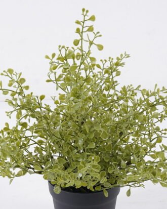Artificial Plant 20*20*29cm Soybean Leaf *49 in PP pot GS-59126004 2026Aug 3,000+ sqm showroom with thousands of artificial flowers, plants & trees ready for global sourcing.