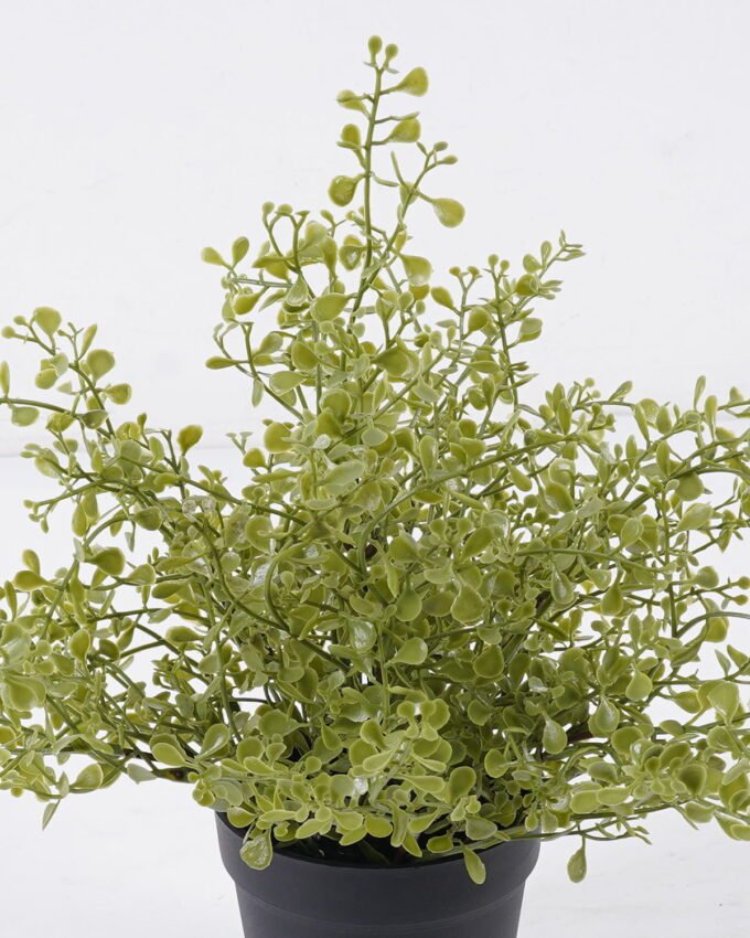 Artificial Plant 20*20*29cm Soybean Leaf *49 in PP pot GS-59126004 2026Aug 3,000+ sqm showroom with thousands of artificial flowers, plants & trees ready for global sourcing.