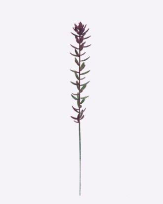 Artificial Plant 6*4*62cm Succulent plants single stem GS-01126017 2026Jun 3,000+ sqm showroom with thousands of artificial flowers, plants & trees ready for global sourcing. Artificial Plant 6*4*62cm Succulent plants single stem GS-01126017 2026Jun 3,000+ sqm showroom with thousands of artificial flowers, plants & trees ready for global sourcing.