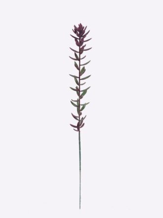 Artificial Plant 5*4*56cm Succulent plants single stem GS-01126018 2026Jun 3,000+ sqm showroom with thousands of artificial flowers, plants & trees ready for global sourcing.