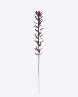 Artificial Plant 5*4*56cm Succulent plants single stem GS-01126018 2026Jun 3,000+ sqm showroom with thousands of artificial flowers, plants & trees ready for global sourcing. Artificial Plant 5*4*56cm Succulent plants single stem GS-01126018 2026Jun 3,000+ sqm showroom with thousands of artificial flowers, plants & trees ready for global sourcing.