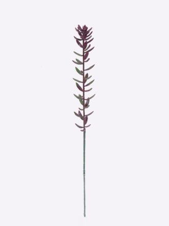 Artificial Plant 6*4*62cm Succulent plants single stem GS-01126017 2026Jun 3,000+ sqm showroom with thousands of artificial flowers, plants & trees ready for global sourcing.