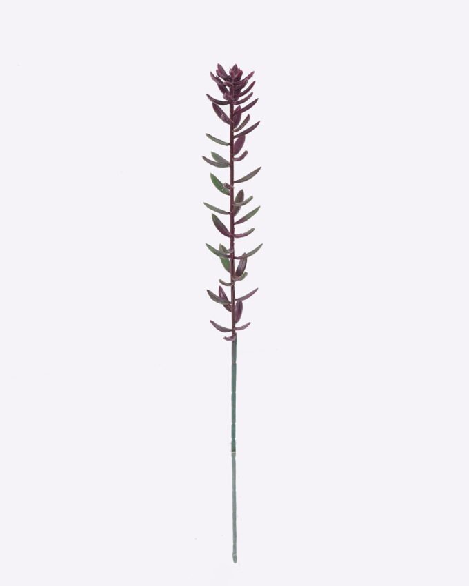 Artificial Plant 5*4*56cm Succulent plants single stem GS-01126018 2026Jun 3,000+ sqm showroom with thousands of artificial flowers, plants & trees ready for global sourcing.