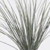 Artificial Plant The stem or leaf of cattail 9 bush GS-01126016_1 Artificial Plant 12*4*50cm The stem or leaf of cattail *9 bush GS-01126016 2026Jun 3,000+ sqm showroom with thousands of artificial flowers, plants & trees ready for global sourcing.
