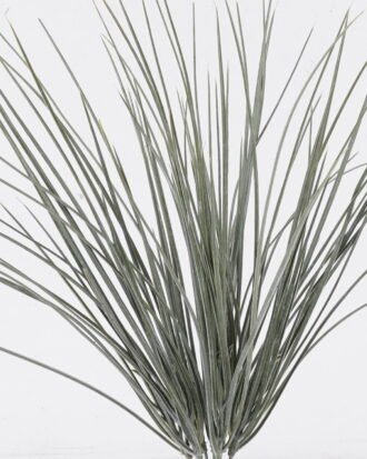 Artificial Plant 12*4*50cm The stem or leaf of cattail *9 bush GS-01126016 2026Jun 3,000+ sqm showroom with thousands of artificial flowers, plants & trees ready for global sourcing. Artificial Plant 12*4*50cm The stem or leaf of cattail *9 bush GS-01126016 2026Jun 3,000+ sqm showroom with thousands of artificial flowers, plants & trees ready for global sourcing.