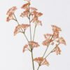 Artificial Plant Wild fruit 23 single stem GS-59126016_2 Artificial Plant 13*5*74cm Wild fruit *23 single stem GS-59126016 2026Aug 3,000+ sqm showroom with thousands of artificial flowers, plants & trees ready for global sourcing.