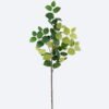 Artificial Plant leaf single stem GS-78826015 Artificial Plant 40*10*152cm leaf single stem GS-78826015 2026Aug 3,000+ sqm showroom with thousands of artificial flowers, plants & trees ready for global sourcing.