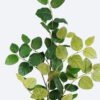 Artificial Plant leaf single stem GS-78826015_2 Artificial Plant 40*10*152cm leaf single stem GS-78826015 2026Aug 3,000+ sqm showroom with thousands of artificial flowers, plants & trees ready for global sourcing.