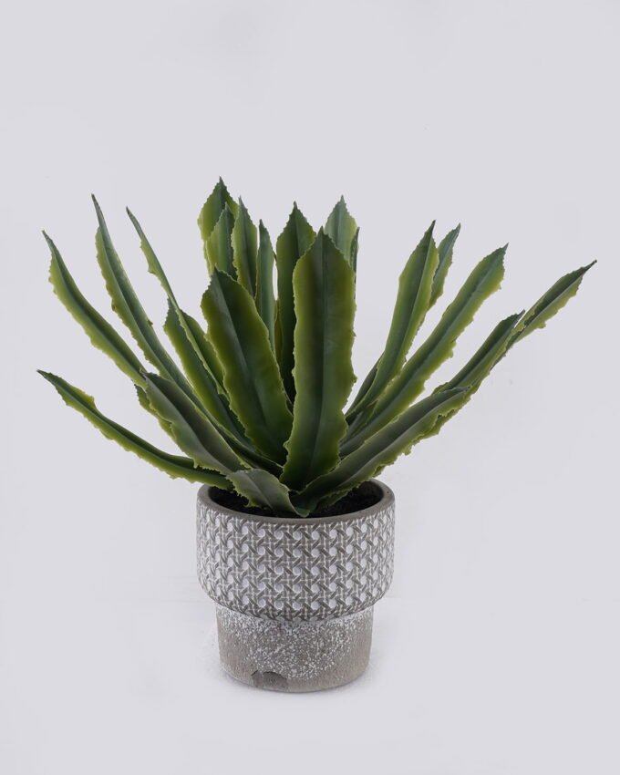 Artificial Table Plants 30*30*30cm Agave in Cement Pot GS-03326115 2026Jun 3,000+ sqm showroom with thousands of artificial flowers, plants & trees ready for global sourcing.