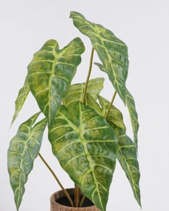 Artificial Table Plants 30*30*52cm Alocasia in Cement pot GS-03326055 2026Jun 3,000+ sqm showroom with thousands of artificial flowers, plants & trees ready for global sourcing. Artificial Table Plants 30*30*52cm Alocasia in Cement pot GS-03326055 2026Jun 3,000+ sqm showroom with thousands of artificial flowers, plants & trees ready for global sourcing.