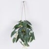 Artificial Table Plants Alocasia in PP pot GS-03325124RP-P6P12 Artificial Table Plants 31*31*42cm Alocasia in PP pot GS-03325124RP-P6P12 2026Jun 3,000+ sqm showroom with thousands of artificial flowers, plants & trees ready for global sourcing.
