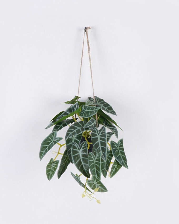 Artificial Table Plants 31*31*42cm Alocasia in PP pot GS-03325124RP-P6P12 2026Jun 3,000+ sqm showroom with thousands of artificial flowers, plants & trees ready for global sourcing.