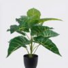 Artificial Table Plants Alocasia in PP pot GS-03326076 Artificial Table Plants 50*50*50cm Alocasia in PP pot GS-03326076 2026Jun 3,000+ sqm showroom with thousands of artificial flowers, plants & trees ready for global sourcing.