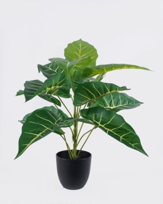 Artificial Table Plants 50*50*50cm Alocasia in PP pot GS-03326076 2026Jun 3,000+ sqm showroom with thousands of artificial flowers, plants & trees ready for global sourcing. Artificial Table Plants 50*50*50cm Alocasia in PP pot GS-03326076 2026Jun 3,000+ sqm showroom with thousands of artificial flowers, plants & trees ready for global sourcing.