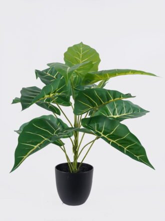 Artificial Table Plants 35*35*53cm Rubber in PP pot GS-03326077 2026Jun 3,000+ sqm showroom with thousands of artificial flowers, plants & trees ready for global sourcing.