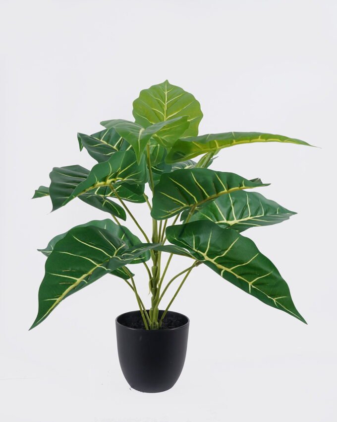 Artificial Table Plants 50*50*50cm Alocasia  in PP pot GS-03326076 2026Jun 3,000+ sqm showroom with thousands of artificial flowers, plants & trees ready for global sourcing.