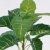 Artificial Table Plants Alocasia in PP pot GS-03326076_1 Artificial Table Plants 50*50*50cm Alocasia in PP pot GS-03326076 2026Jun 3,000+ sqm showroom with thousands of artificial flowers, plants & trees ready for global sourcing.