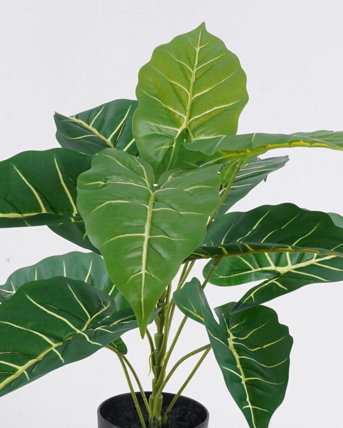 Artificial Table Plants 50*50*50cm Alocasia  in PP pot GS-03326076 2026Jun 3,000+ sqm showroom with thousands of artificial flowers, plants & trees ready for global sourcing.