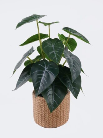 Artificial Table Plants 22*22*32cm  Black Crystal Anthurium in cement pot GS-03326096 2026Jun 3,000+ sqm showroom with thousands of artificial flowers, plants & trees ready for global sourcing.