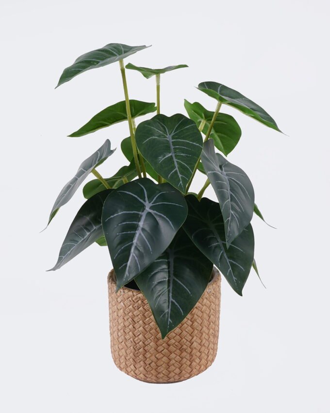 Artificial Table Plants 22*22*32cm  Alocasia in cement pot GS-03326095 2026Jun 3,000+ sqm showroom with thousands of artificial flowers, plants & trees ready for global sourcing.