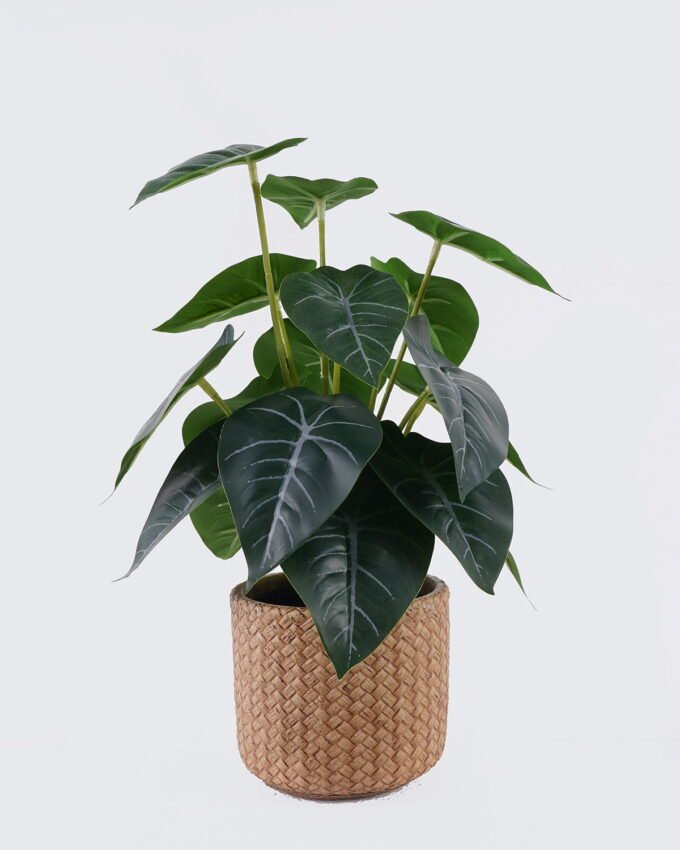 Artificial Table Plants 22*22*32cm  Alocasia in cement pot GS-03326095 2026Jun 3,000+ sqm showroom with thousands of artificial flowers, plants & trees ready for global sourcing.