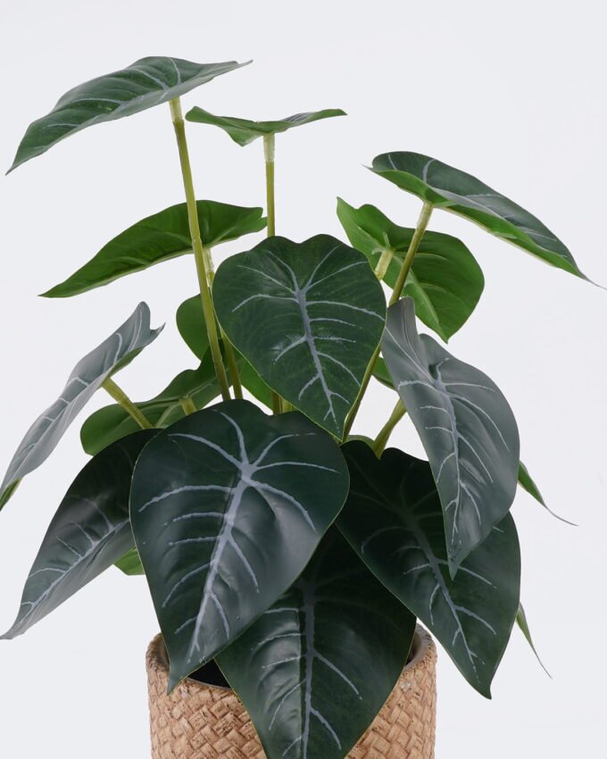 Artificial Table Plants 22*22*32cm  Alocasia in cement pot GS-03326095 2026Jun 3,000+ sqm showroom with thousands of artificial flowers, plants & trees ready for global sourcing.