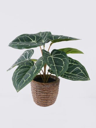 Artificial Table Plants 25*15*19cm Mini Ivy in PP pot GS-03326050 2026Jun 3,000+ sqm showroom with thousands of artificial flowers, plants & trees ready for global sourcing.