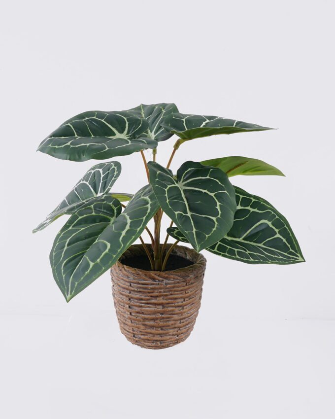 Artificial Table Plants 35*35*28cm Anthurium crystallinum in cement pot GS-03326051 2026Jun 3,000+ sqm showroom with thousands of artificial flowers, plants & trees ready for global sourcing.