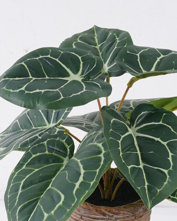 Artificial Table Plants 35*35*28cm Anthurium crystallinum in cement pot GS-03326051 2026Jun 3,000+ sqm showroom with thousands of artificial flowers, plants & trees ready for global sourcing.