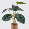 Artificial Table Plants Anthurium crystallinum in cement pot GS-03326057_1 Artificial Table Plants 45*45*52cm Anthurium crystallinum in cement pot GS-03326057 2026Jun 3,000+ sqm showroom with thousands of artificial flowers, plants & trees ready for global sourcing.