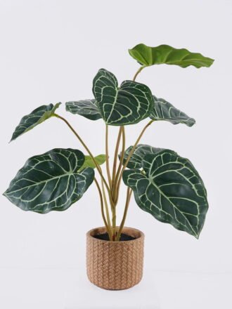 Artificial Table Plants 30*30*30cm  Begonia rex in Cement pot GS-03326058 2026Jun 3,000+ sqm showroom with thousands of artificial flowers, plants & trees ready for global sourcing.