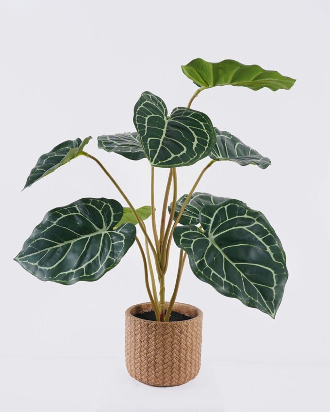 Artificial Table Plants 45*45*52cm Anthurium crystallinum in cement pot GS-03326057 2026Jun 3,000+ sqm showroom with thousands of artificial flowers, plants & trees ready for global sourcing.