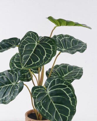 Artificial Table Plants 45*45*52cm Anthurium crystallinum in cement pot GS-03326057 2026Jun 3,000+ sqm showroom with thousands of artificial flowers, plants & trees ready for global sourcing. Artificial Table Plants 45*45*52cm Anthurium crystallinum in cement pot GS-03326057 2026Jun 3,000+ sqm showroom with thousands of artificial flowers, plants & trees ready for global sourcing.
