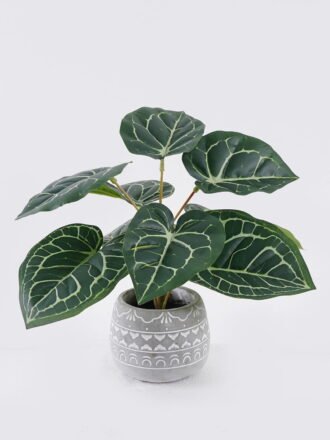 Artificial Table Plants 26*26*32cm Peperomia in cement pot GS-03326060 2026Jun 3,000+ sqm showroom with thousands of artificial flowers, plants & trees ready for global sourcing.